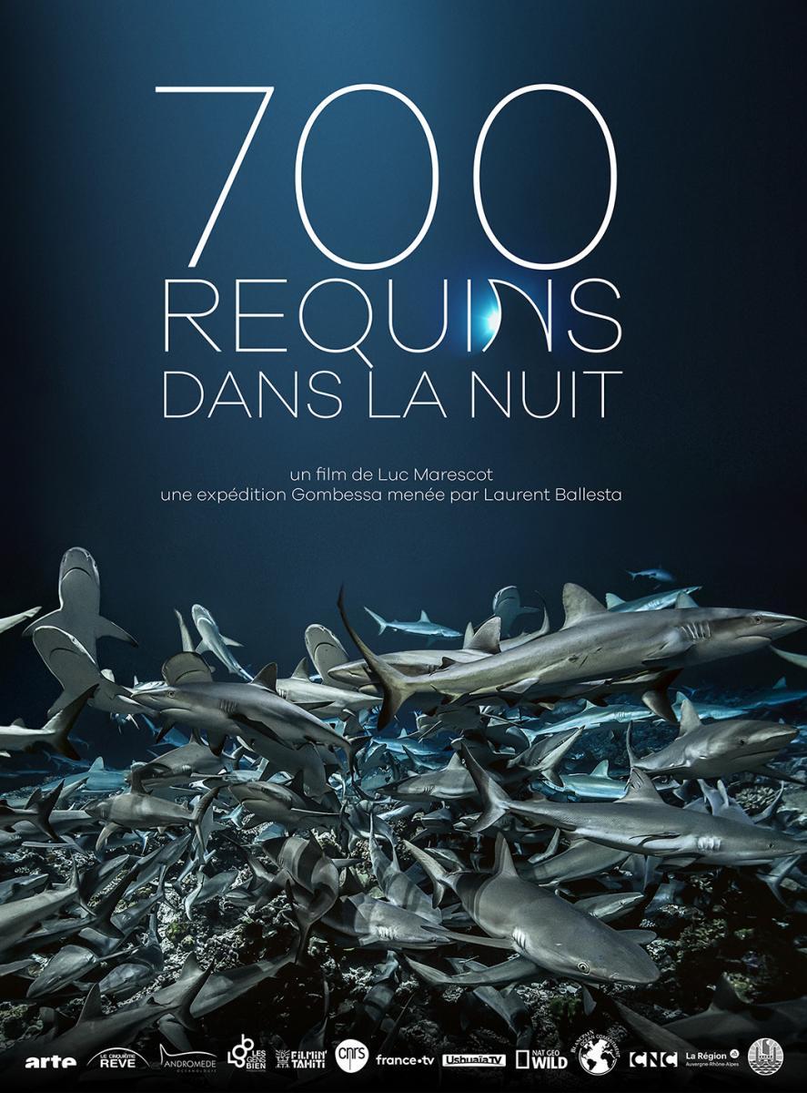 700 requins dans la nuit