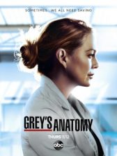 Anatomia De Grey T17E04