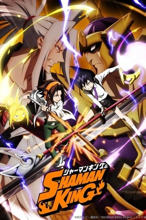 Shaman King 1×2