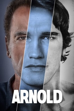 Arnold 1×3