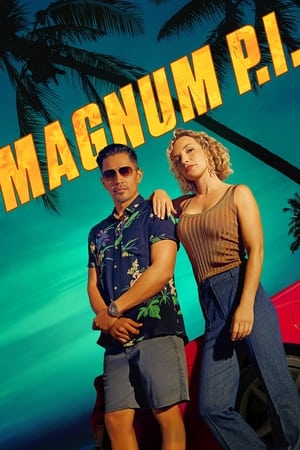Magnum 3×16