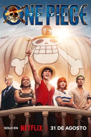 ONE PIECE 1×1