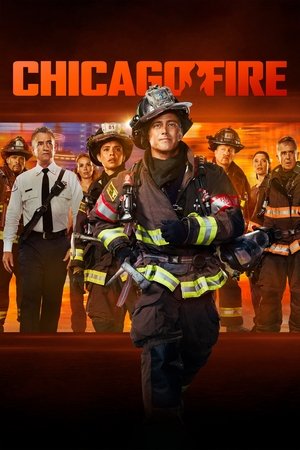 Chicago Fire 14×1