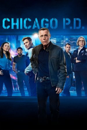 Chicago P.D. 13×1