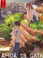 Amor de gata 