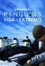 Los pingüinos de la Antártida 