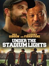 Under the Stadium Lights