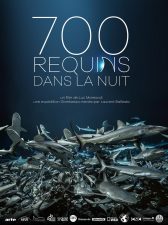 700 requins dans la nuit
