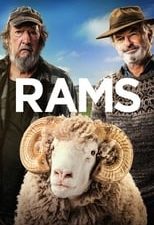 Rams 