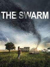The Swarm