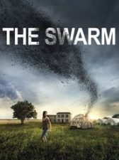 The Swarm