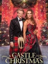 A Castle for Christmas