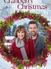 Cranberry Christmas