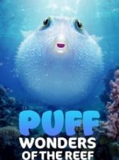 Puff: Wonders of the Reef