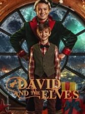 David and the Elves