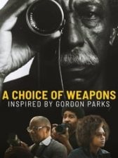 A Choice of Weapons: Inspired by Gordon Parks