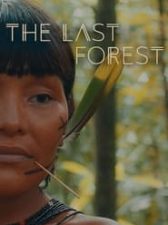 The Last Forest