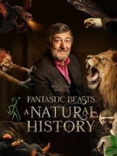 Fantastic Beasts: A Natural History
