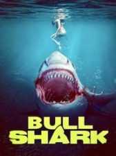 Bull Shark