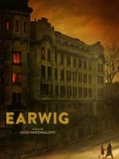 Earwig