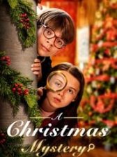 A Christmas Mystery