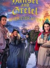Hansel & Gretel: After Ever After
