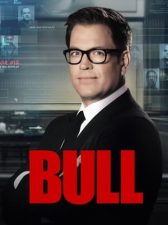 Bull T05E02