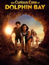 El curioso caso de Dolphin Bay