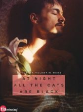 At Night All the Cats Are Black