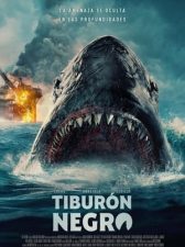 Tiburón negro