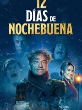 The 12 Days of Christmas Eve