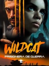 Wildcat