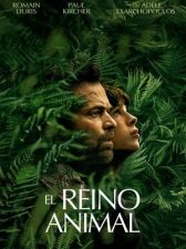 El Reino Animal