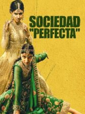 Sociedad Perfecta