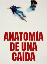 Anatomía de una caída