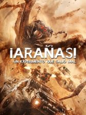 ¡Arañas! Un Experimento Que Salió Mal