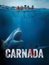 Something in the Water