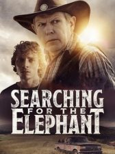 Searching for the Elephant