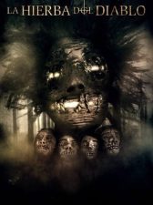 La Hierba del Diablo