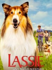 Lassie 