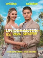 Un desastre es para siempre