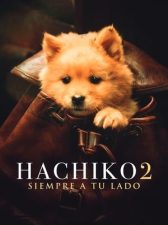 Hachiko