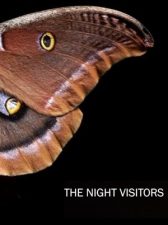 The Night Visitors