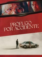 Prófugo por accidente