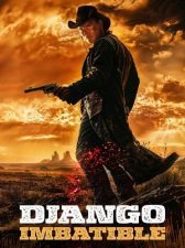 Django imbatible