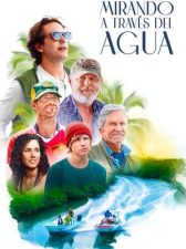 Mirando a través del agua