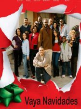 Vaya navidades