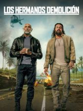 Los hermanos demolición