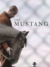 The Mustang 