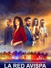 La red Avispa 